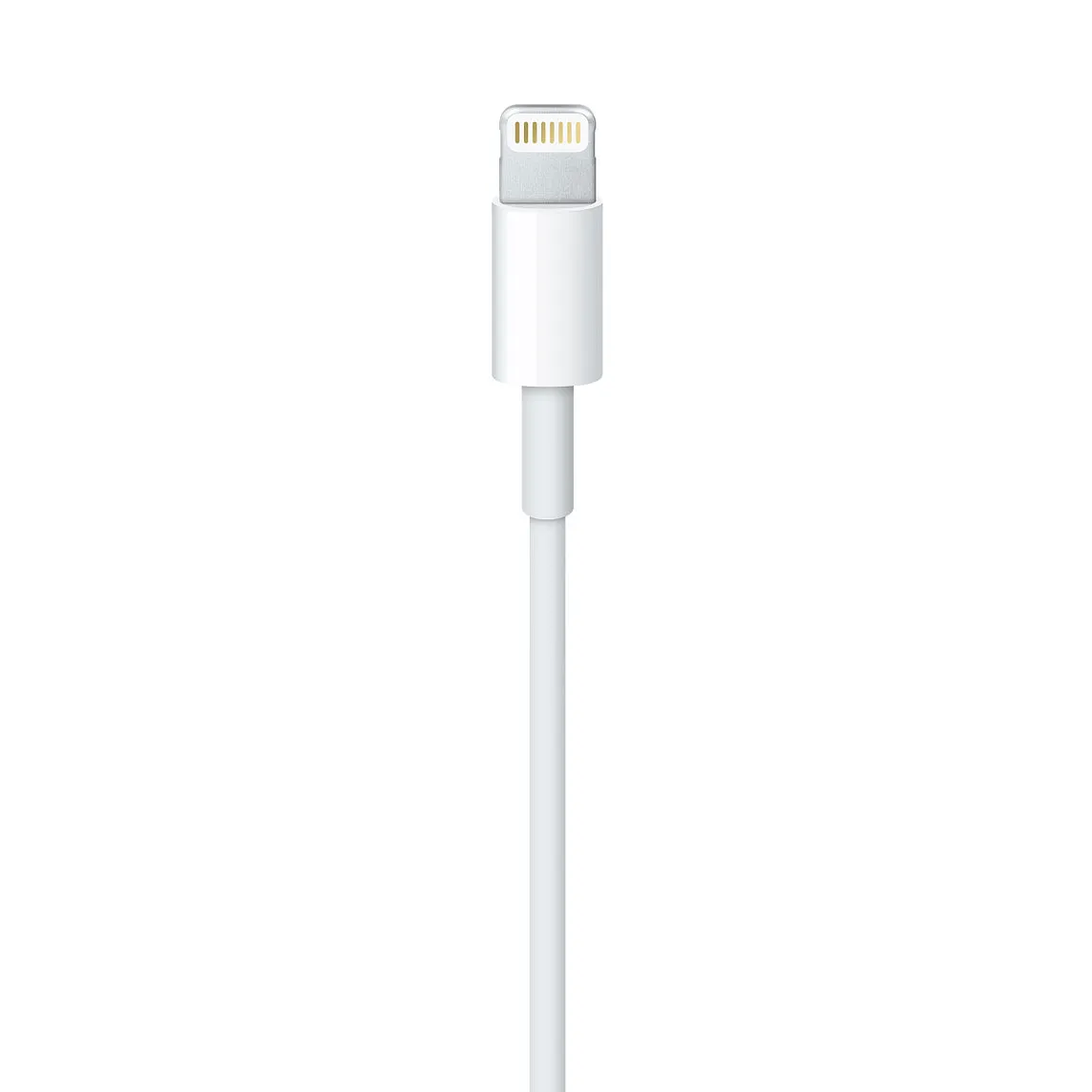 Apple Lightning USB kabel 0,5 m — Apple Lightning USB kabel 0,5 m