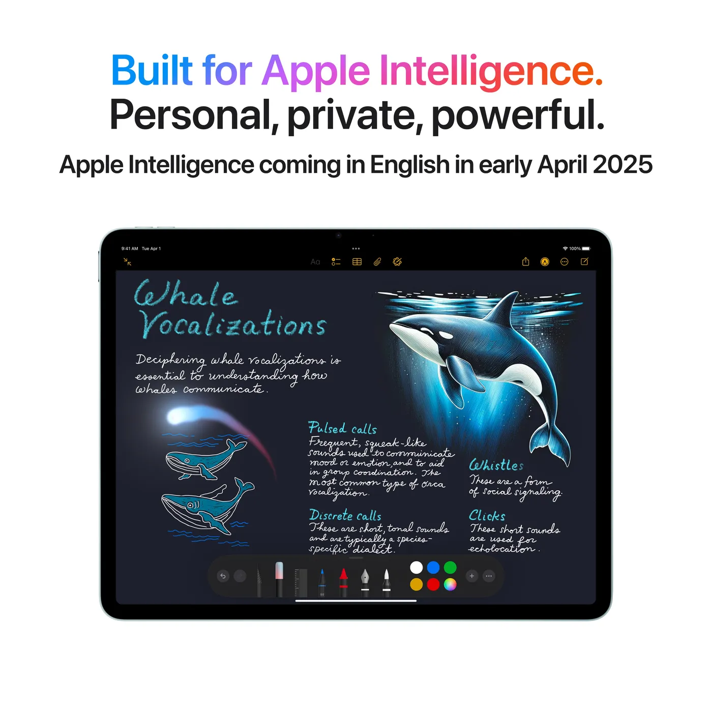 11-inch iPad Air M3 — Gris sidéral · 512 Go · Wi-Fi + Cellular